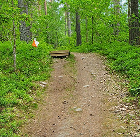 Fyra banor finns att välja bland. den kortaste är bara stig, övriga är lite blandat stig/ skog i olika längder men mest öppen och fin terräng.

Det finns även möjlighet att prova på att blippa i kontrollerna med en tävlingspinne på lättaste banan.