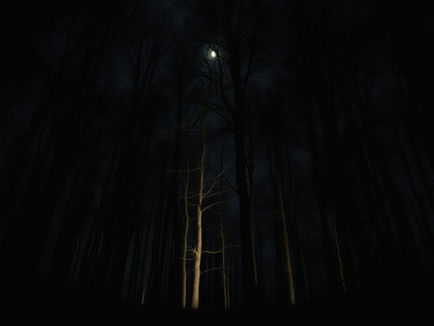 The Long Night