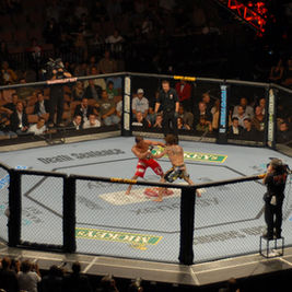 Joshua Van defends flyweight title in UFC 331 rematch