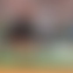 NFL Week 9: Momentum Swings and Statement Wins