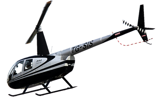 R44 TG SIS.png