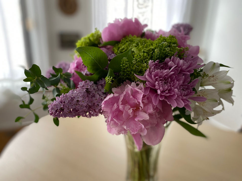 Thumbnail: La Balena 