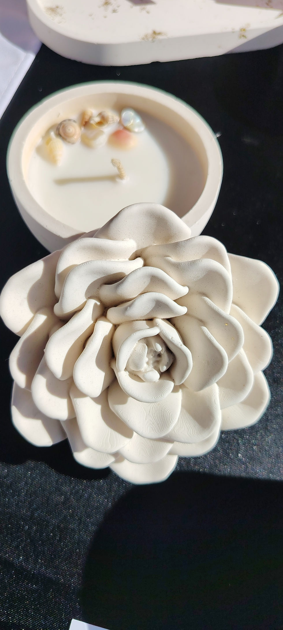 Miniature : La Rose
