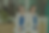 foto anelise.png