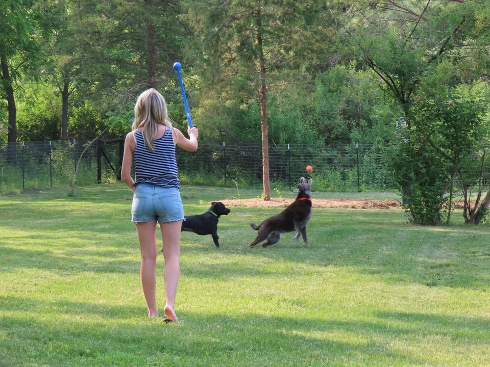 dog park off leash madison wisconsin sun prairie