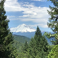 IMG_0876.JPG