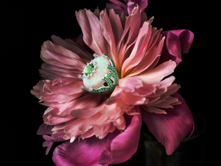 Easter 2020: Spring Blossoms & Easter Editorials in High Jewellery.