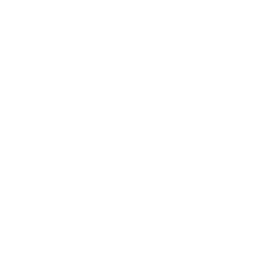 Terms and Condition Icon
