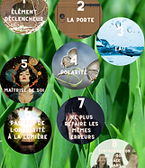 Le chemin de l’ éveil avec Alice (2).png