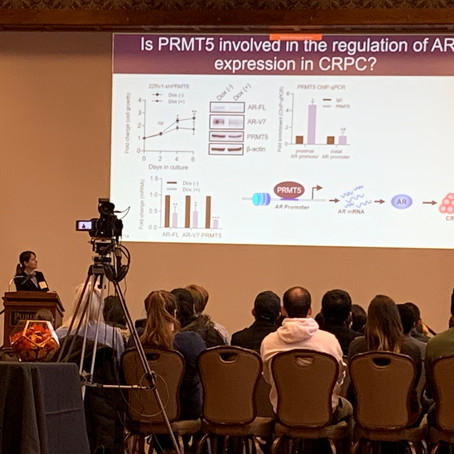 Elena Beketova presents research at as Jenkins Knevel award recipient