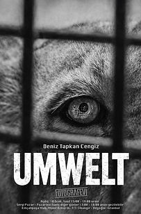 Fotografevi-Umwelt-Deniz Tapkan Cengiz.jpeg