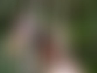 Sortie de résidence cirque vendredi 24 avril 26