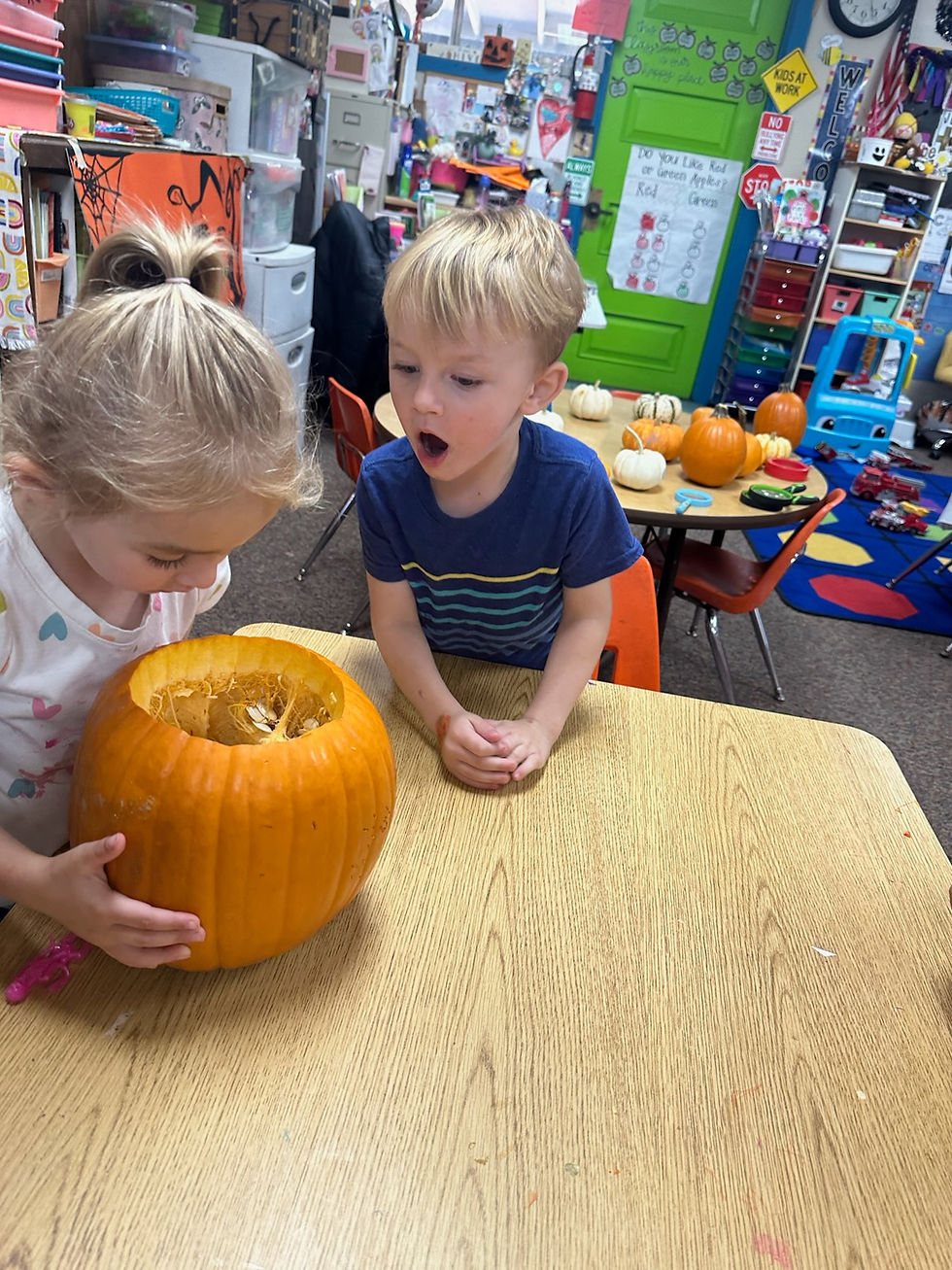 Q PUMPKIN EXPRESSION 2023