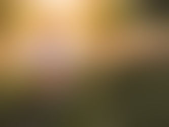 A Simple Step to Embody Flow: Don't Lose Yourself