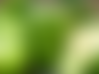 Detox: Fact and Fiction