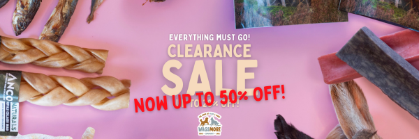 websiteHeader  (1).png