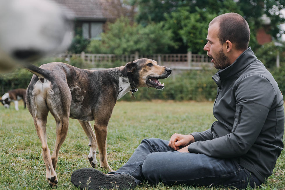 The bond we have with all our dogs is incredible. They're our extended family,.