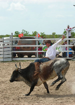 rodeo.jpg