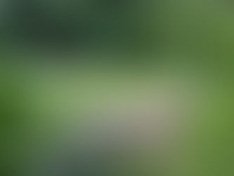 De vakantie komt er weer aan