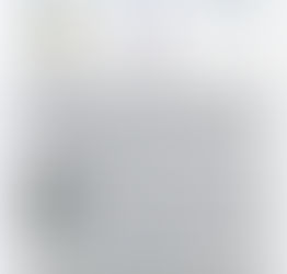 Tintinnabulum van                            15 februari 2026.