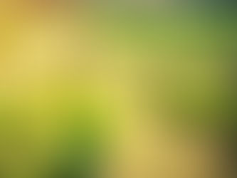 Nieuwe wijn in nieuwe zakken, deel 10