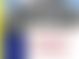 Gidsje: alle kathedralen en basilieken van Nederland van binnen en buiten