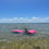 Thumbnail: Water Mat