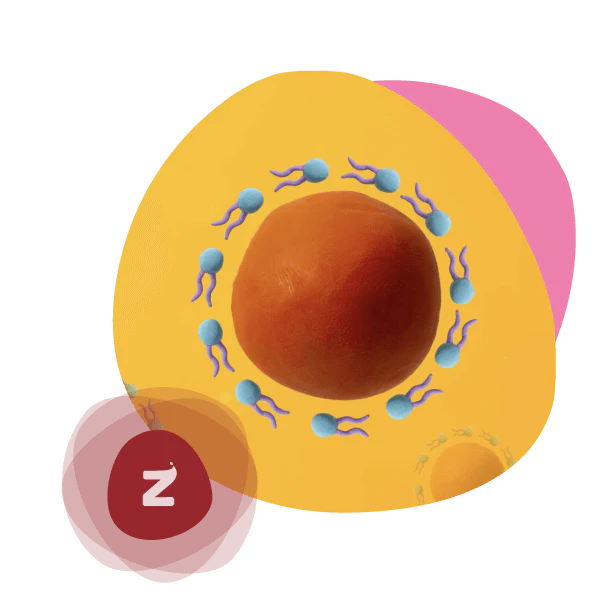 natural lipids