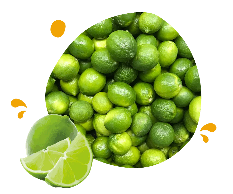 100% natural ingredients