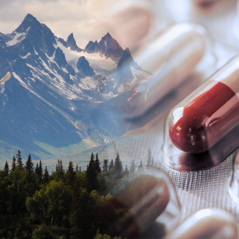 Building Canada Strong: Strengthening Our Pharmaceutical Future