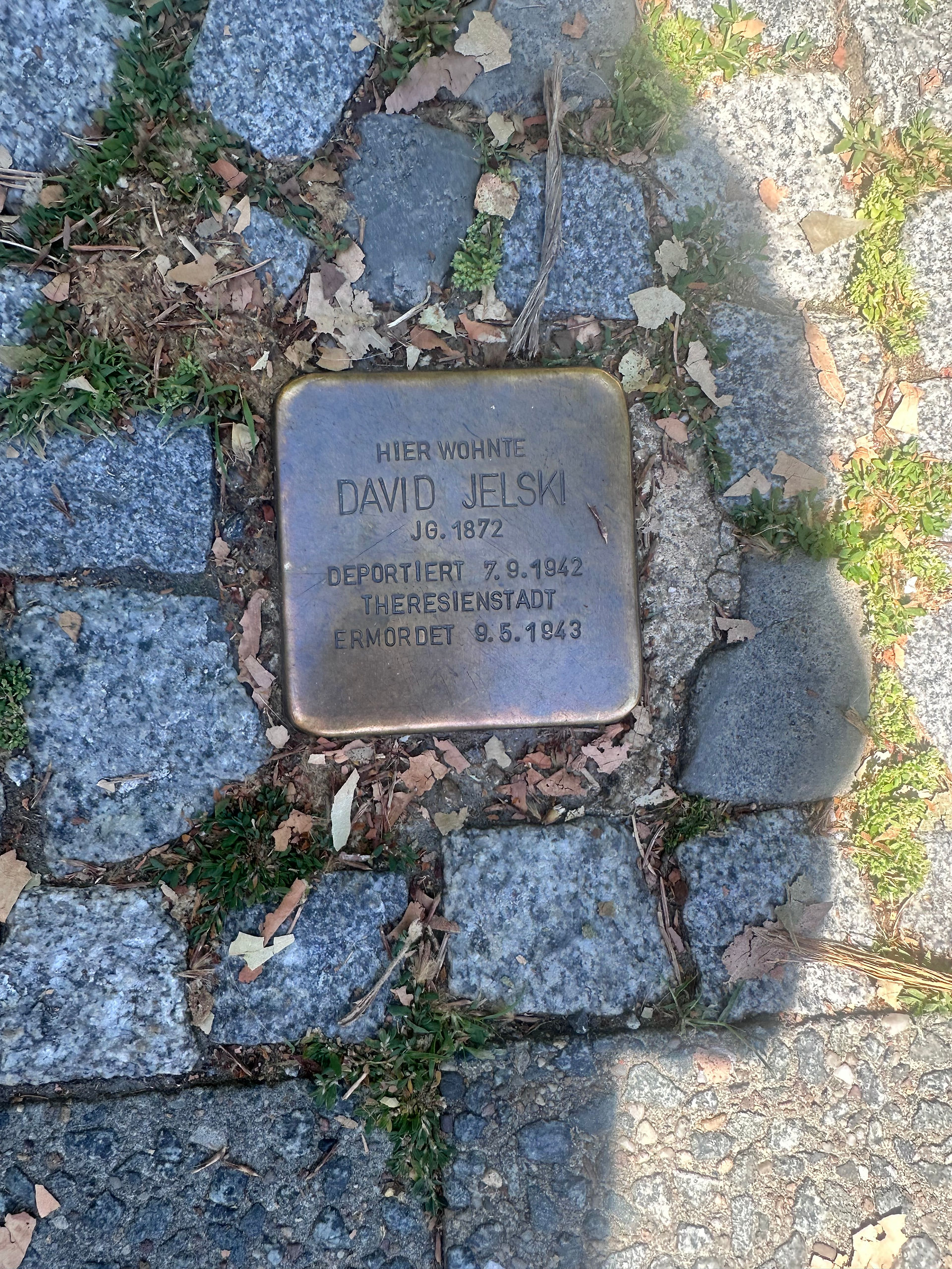 Stolpersteine of David Jelski