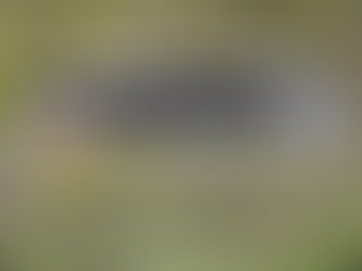 Is It Cheaper to Travel with a Tour Group in Australia?