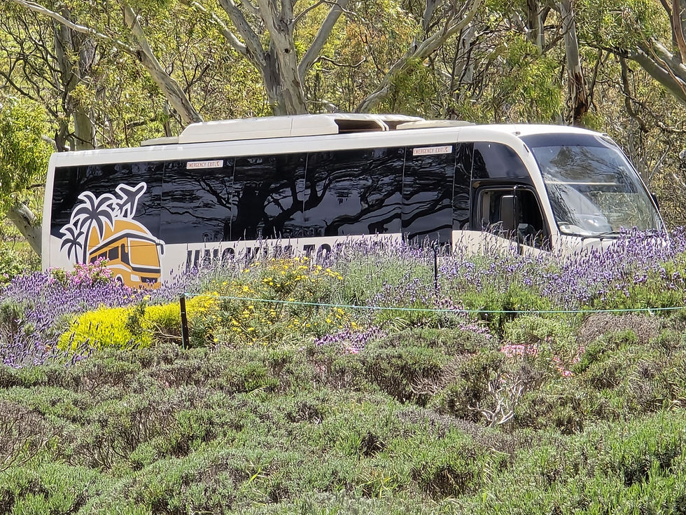 Is It Cheaper to Travel with a Tour Group in Australia?