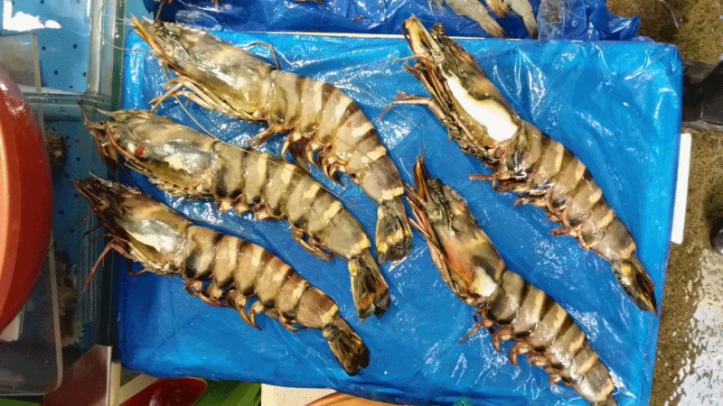 우리상회 타이거새우