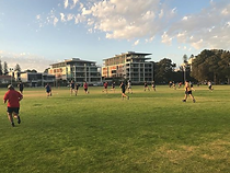 Screen Shot 2020-04-20 at 4.16.08 pm.png