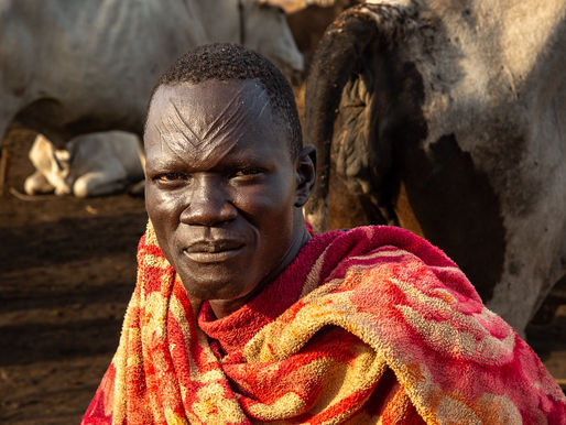 A man with a scarified face from the Mundari Tribe in South Sudan wears a yellow and red fleece blanket and stares into the camera lens with his Ankole-Watusi cattle in the background.