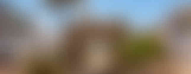 Arch of Marcus Aurelius in Tripoli, Libya with mosque in the background and a healthy palm tree in front of it.