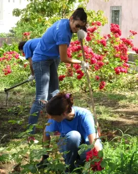 Voluntariado-Empresa: uma oportunidade de criar valor