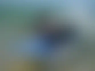 Sol, calor, cor de laranja no ar