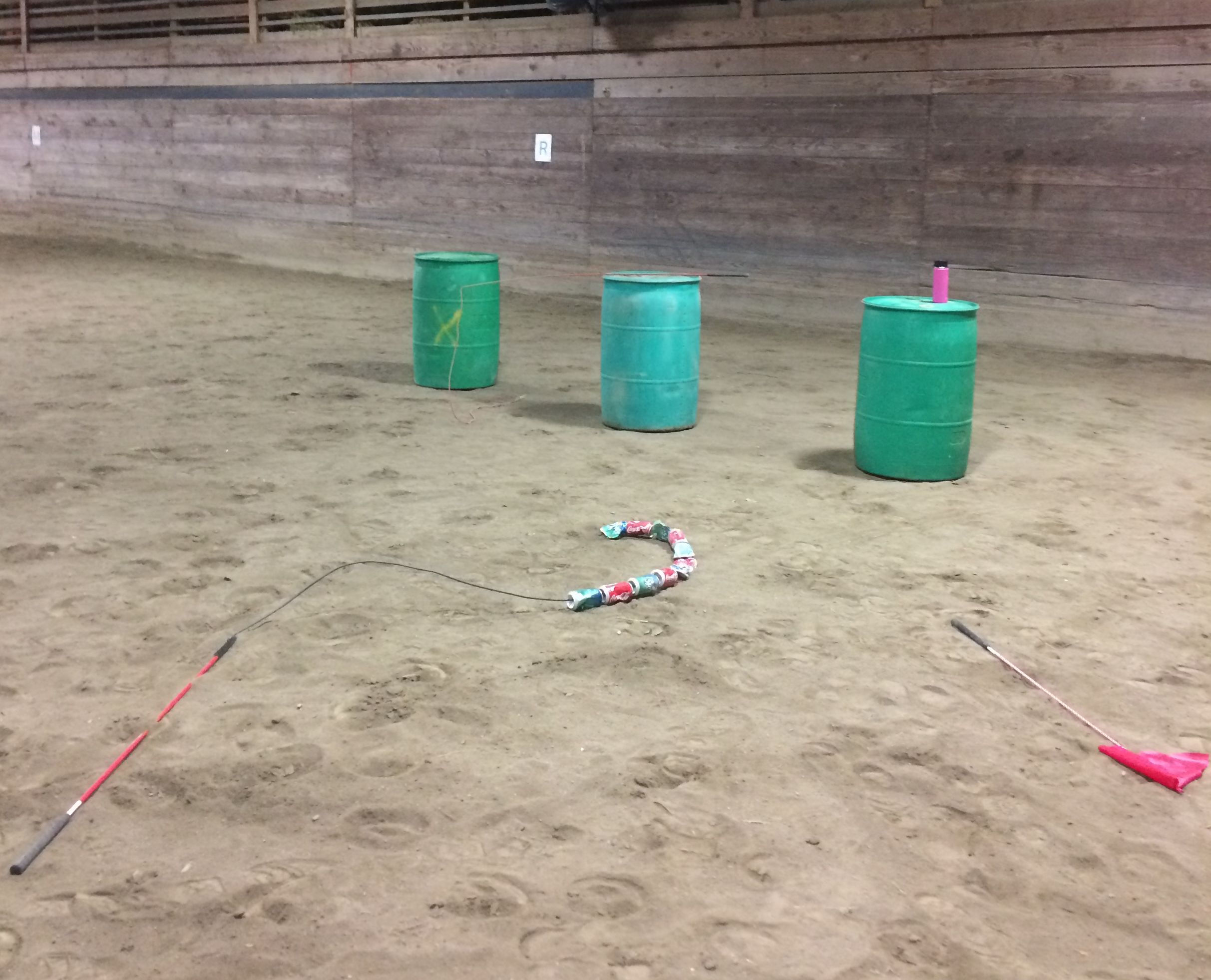 Barrels, Flags, Snake
