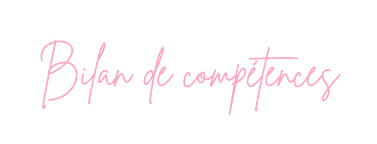 BIlan de compétences
