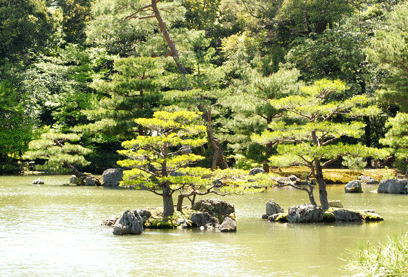 two small trees on tiny islands in a pond surrounding the golden temple in kyoto, japan.