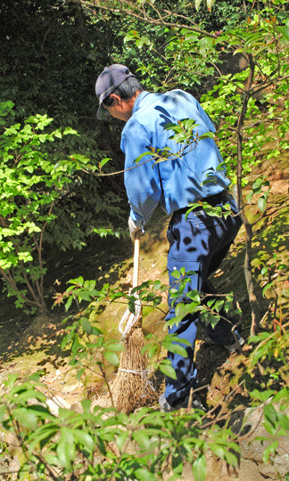 A gardener sweeping the forest floor around the golden temple in Kyoto, Japan.