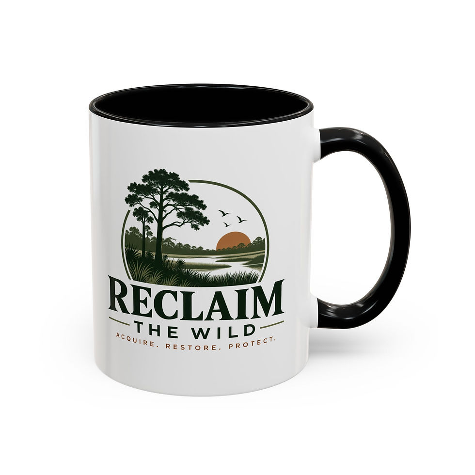 Thumbnail: Accent Coffee Mug (11, 15oz)