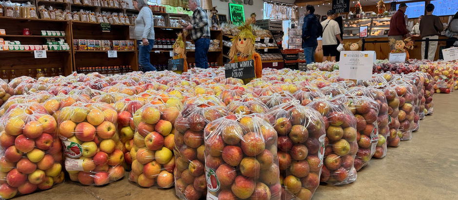 Apple Season in the North Georgia Mountains: Where Autumn Tastes Like Home