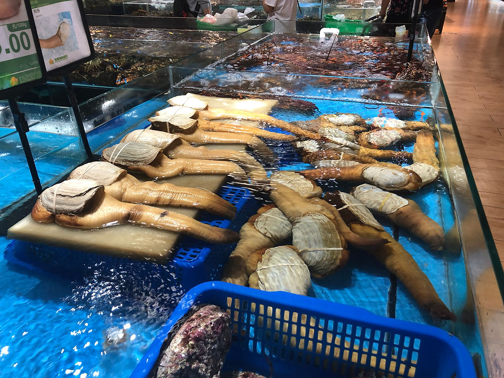 Fish market in the Baoyan Supermarket near the Shanghai New International Expo Center.
