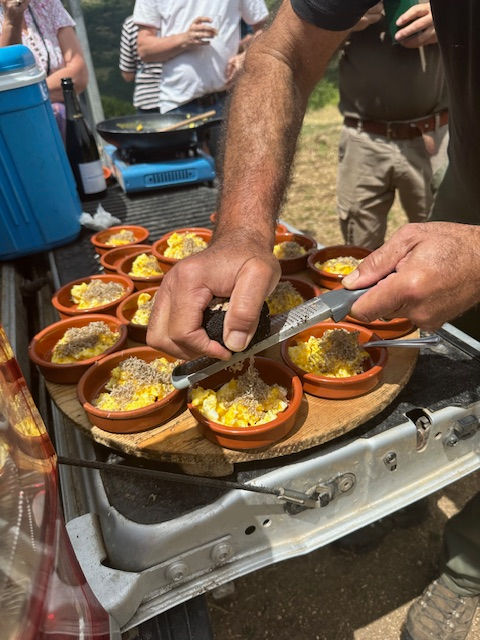 Truffle Hunting, Local Hams, and Cheeses in Umbria – A Culinary Journey into Italy's Green Heart