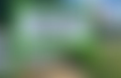 Sip, Stay, Play: Discovering Mountain Dog Coffee in Boone, NC - Where Coffee, Community, and Canines Meet in the High Country