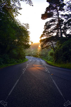 Watermarked (463).jpg