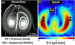 Screenshot 2024-06-15 at 12.14_edited.jp